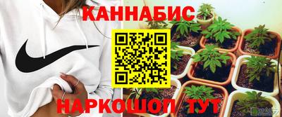 молекула духа Берёзовский